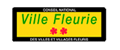 ville-fleurie-2